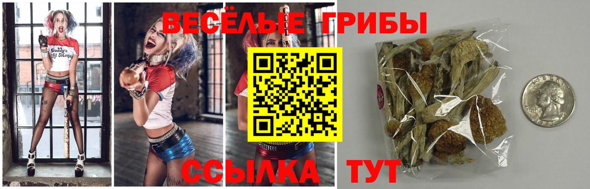 Галлюциногенные грибы прущие грибы Осинники