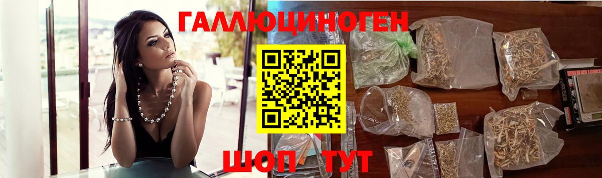 Псилоцибиновые грибы Psilocybine cubensis  где купить наркотик  Осинники  Вход с VPN  Галлюциногенные грибы Magic Shrooms 